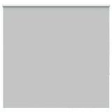 ZNTS Roller Blind Blackout Light Grey 165x130 cm Fabric Width 161.6 cm Polyester 4011375