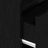 Bedside Cabinet with Drawer Black 25x31x66 cm 858616