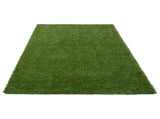 Artificial Grass PP & PE 42033137