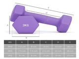 Dumbbell 55467945