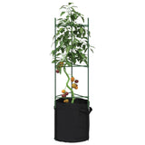 Tomato Cage with Plant Bag 2 pcs 116 cm Steel and PP 4009284