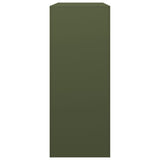 Firewood Rack Green 100x40x100 cm Steel 850971