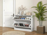 2 Drawers Entryway Shoe Cabinet, Narrow Shoe Storage Cabinet with 2 Flip Drawers, Louvred Door T3398P344136