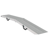 Foldable Ramp 200kg per ramp 2 pcs Silver 166 x 23 x 4.5 cm 42019250
