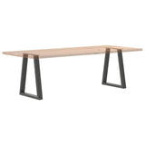 Dining Table Legs V-Shape 2 pcs Anthracite 50x cm Steel 4012562
