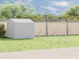 Outdoor Dog Kennel with Roof Silver 10x6x2.5 m Galvanised Steel 3190480