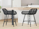 Bar Chair 2 pcs 55 x 52 x 92 cm Rattan and Iron 42011554