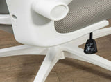 Multi-Adjustable Office Chair, with Lumbar Support, Headrest and Mesh Back - Grey T3398P329884