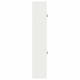 Storage Cabinet 2 pcs 60 x 40 x 210 cm Steel Lockable 3438764