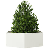 Garden Planter White Hexagon 138x120x45 cm Steel 851137