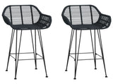 Bar Chair 2 pcs 55 x 52 x 105 cm Rattan and Iron 42011555