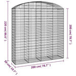 Arched Gabion Basket 200x50x200/220 cm Galvanised Iron 153480