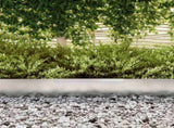 Lawn Edging 450 x 20 cm Galvanised Steel Silver 868030