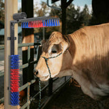 Cattle Brushes Adjustable Red and Blue 84 x 10 x 91 cm PVC 42006837