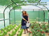 300 x 300cm Walk-In Polytunnel Greenhouse - Green T3398P317639
