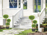 Decorative Artificial Trees Boxwood Ball Topiary Trees Set of 2 in Pot, Fake Plants for Home Indoor T3398P423072