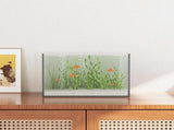 Aquarium with Storage Transparent 30 x 20 x 20 cm Glass 42020379