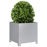 Garden Planters 2 pcs 40x40x40 cm Galvanised Steel 851210