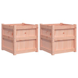 Garden Planters 2 pcs Solid Wood Douglas 837421