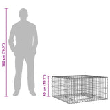 Gabion Raised Bed Silver 42033318