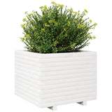 Garden Planter White 60x60x49.5 cm Solid Wood Pine 3282520