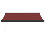 ZNTS Manual Retractable Awning Burgundy 350x250 cm 3215319