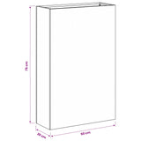 Garden Planter 2 pcs Silver 50 x 20 x 75 cm Stainless Steel 8005465