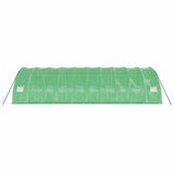 Greenhouse with Steel Frame Green 60 m 10x6x2.85 m 3188108