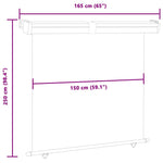 Balcony Side Awning 165x250 cm Black 48430