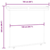 Balcony Side Awning 165x250 cm Black 48430