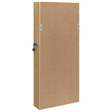 Mirror Jewellery Cabinet Wall Mounted 30x8.5x67 cm 353210