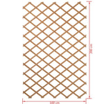ZNTS Nature Garden Trellis 100x200 cm Wood Natural 6041703 409346