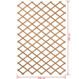 ZNTS Nature Garden Trellis 100x200 cm Wood Natural 6041703 409346