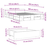 Bed Frame with Drawers without Mattress Grey Sonoma 120x200 cm 3280760