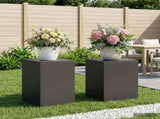 Plant Stand 2 pcs Black 30 x 30 x 40 cm Steel 8012461