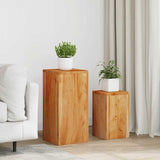 Plant Stands 2 pcs Solid Acacia Wood 320805