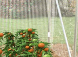 Polytunnel Greenhouse Walk-in Grow House with UV-resistant PE Cover, Door and Galvanised Steel T3398P325196