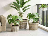 Planter Basket GENDT 3 pcs Natural Grey Kubu Rattan 42020955
