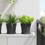 Plant Pots 24 pcs Black 19 x 16 cm Plastic 3403269