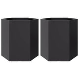 ZNTS Garden Planter 2 pcs Black Hexagon 46x40x45 cm Steel 851109