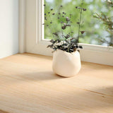 Window Sills 2 pcs Untreated 140x15x2 cm Solid Wood Oak 4009091