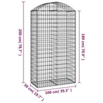 Arched Gabion Basket 100x50x180/200 cm Galvanised Iron 153439