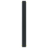 Ramp for Wheelchair 270 kg 2 pcs Black 183 x 19 x 5.6 cm 42021092