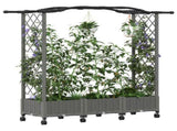 Raised Bed with Trellis and Roof Light Grey 169 x 40 x 129 cm 3423099