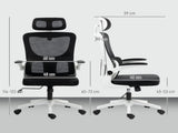 Ergonomic Office Chair, High Back Mesh Computer Desk Chair with Adjustable Headrest and Lumbar T3398P424982