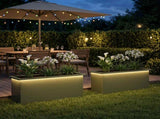 Garden Planter with LED 2 pcs Olive Green 30 x 100 x 30 cm 8008119