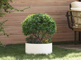 Planter Ring 5 pcs White 30 x 30 x 20 cm Cold-rolled Steel 873595