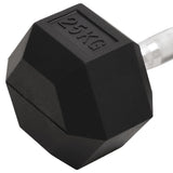 Dumbbell 25 kg Cast Iron 93610