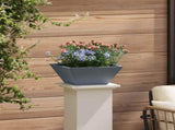 Garden Planter 5 pcs Anthracite 35 x 35 x 15 cm 873801