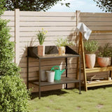 Plant Stand Anthracite 100x54.5x100 cm Galvanised Steel 364536